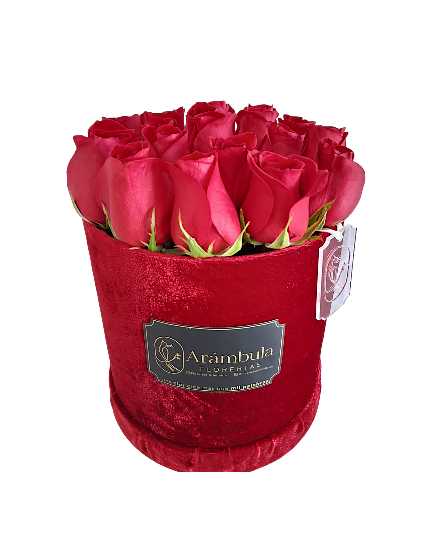 Caja con Rosas Terciopelo