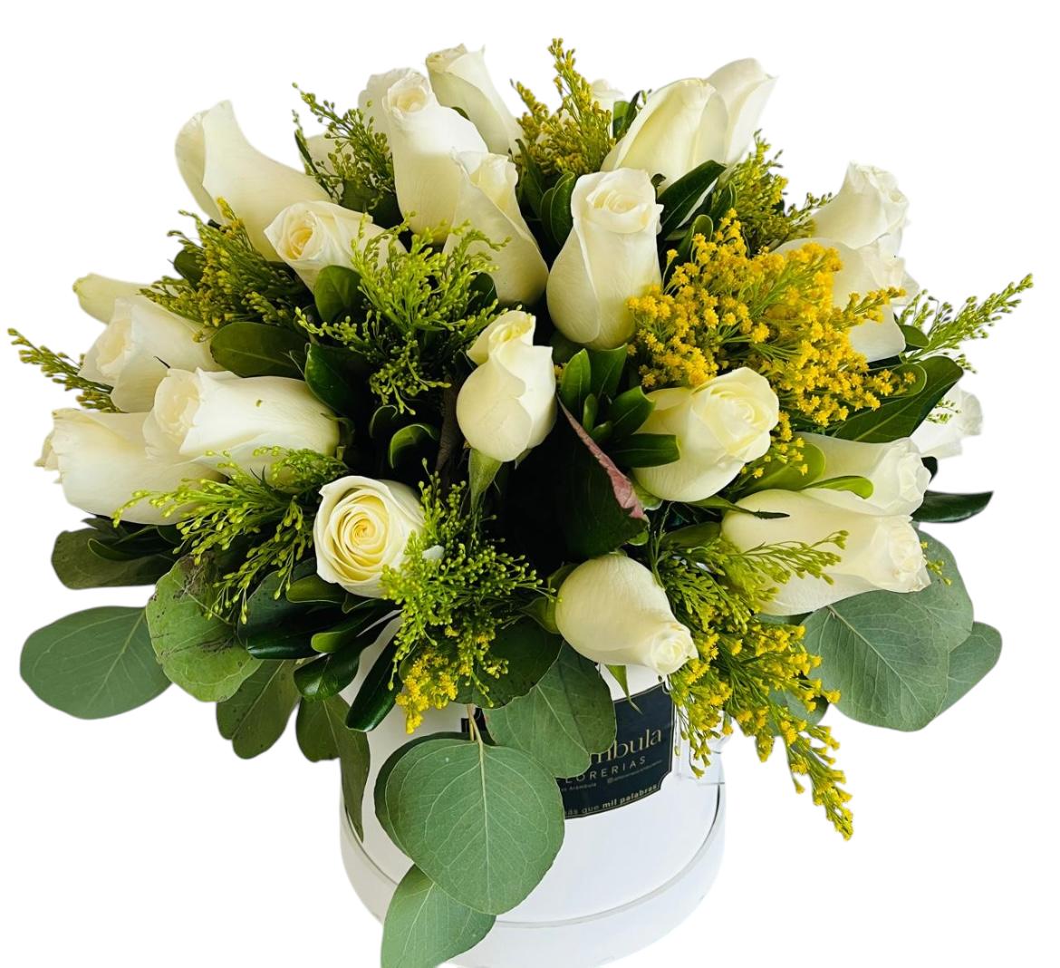 Caja Bolita con 30 Rosas Blancas