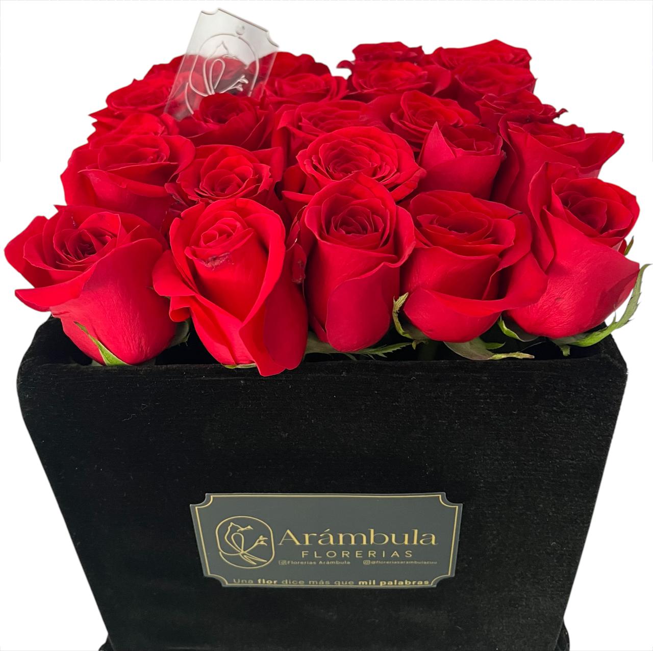 Caja con Rosas Terciopelo