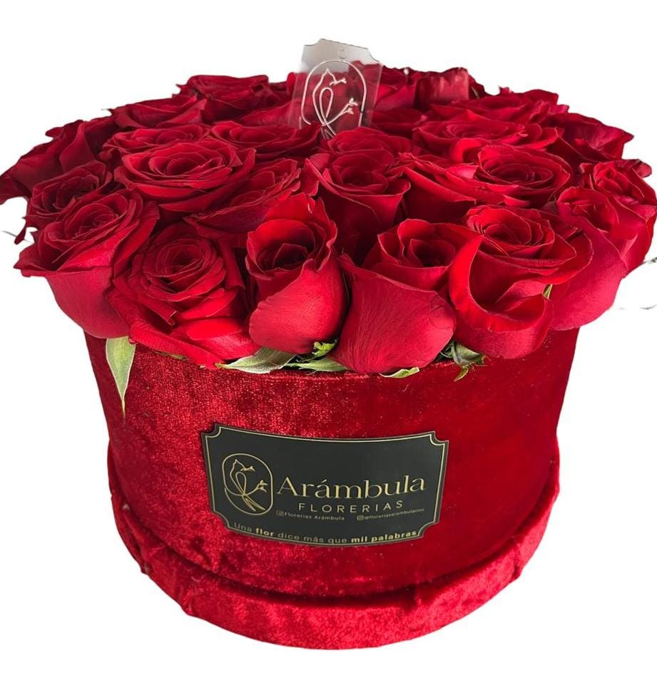 Caja con Rosas Terciopelo