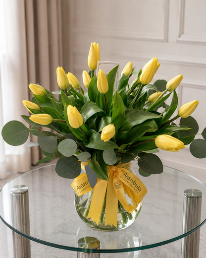Tulipanes Olivia