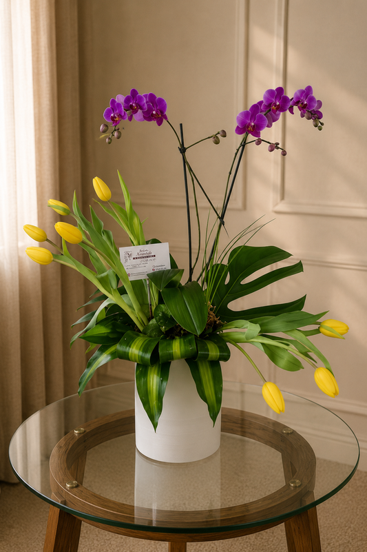 Maceta de Orquídea y Tulipanes