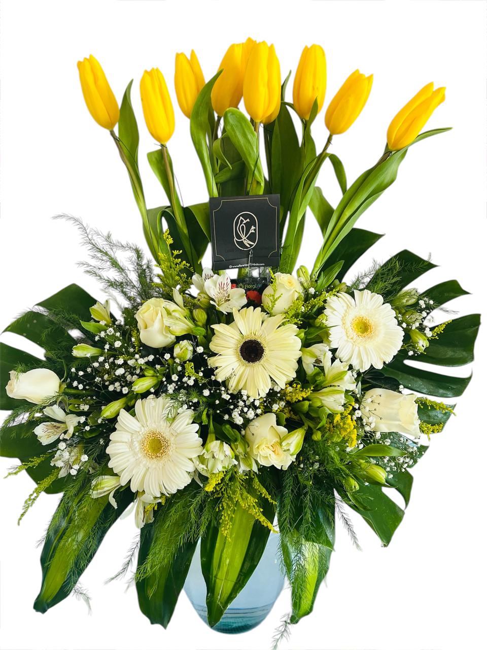 Arreglo con 10 Tulipanes