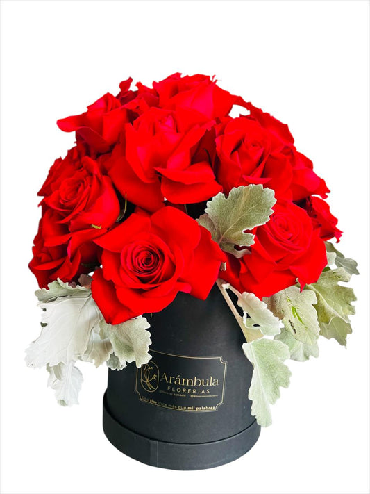 Caja con 25 Rosas Rojas