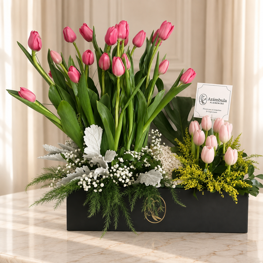 Tulipanes Olivia